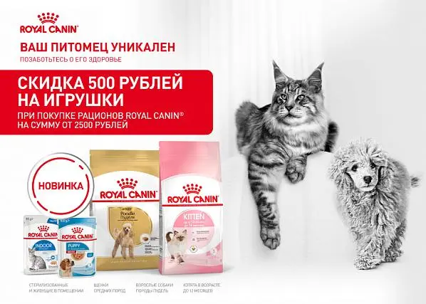 Скидка 500 рублей на игрушку при покупке Royal Canin для кошек и собак на сумму от 2500 рублей