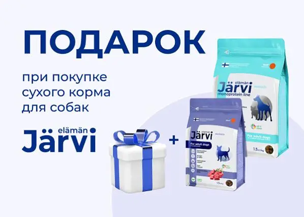 Подарки при покупке сухого корма JARVI для собак